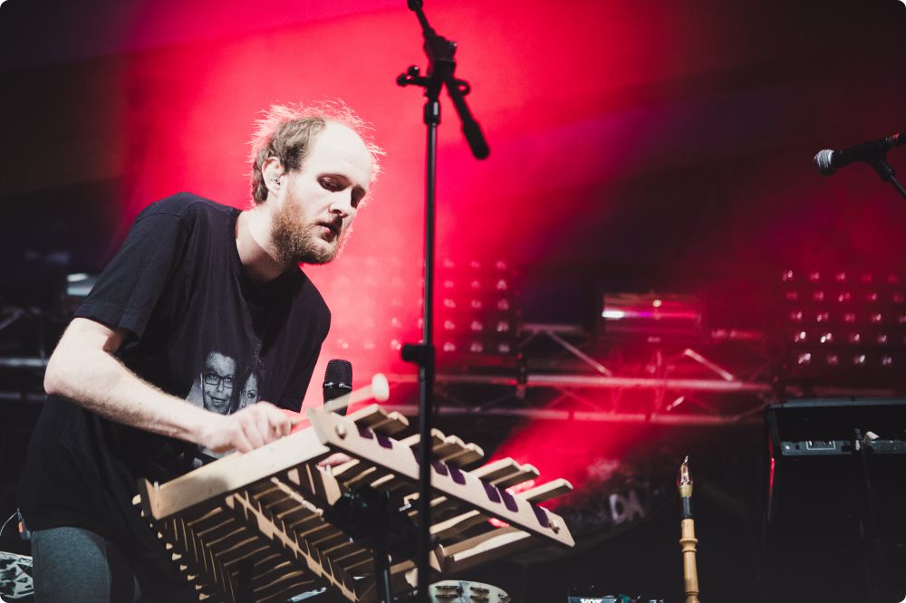 Den Svenska Björnstammen & Panda da Panda