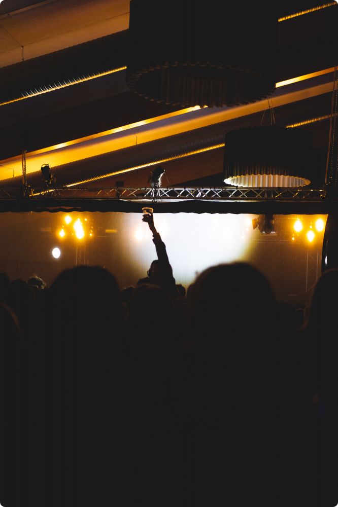 Den Svenska Björnstammen & Panda da Panda