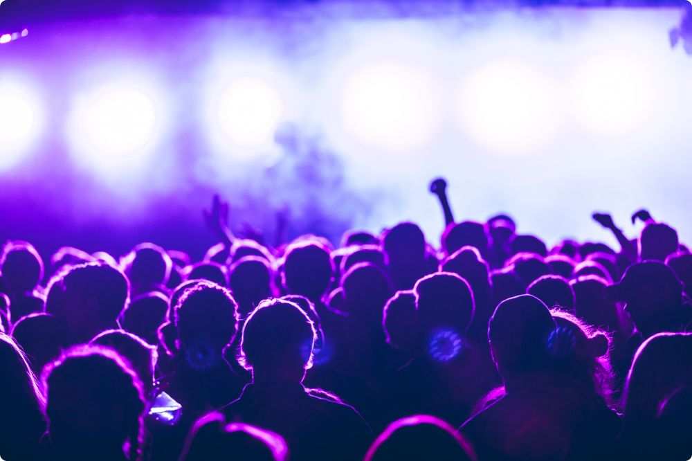 Den Svenska Björnstammen & Panda da Panda