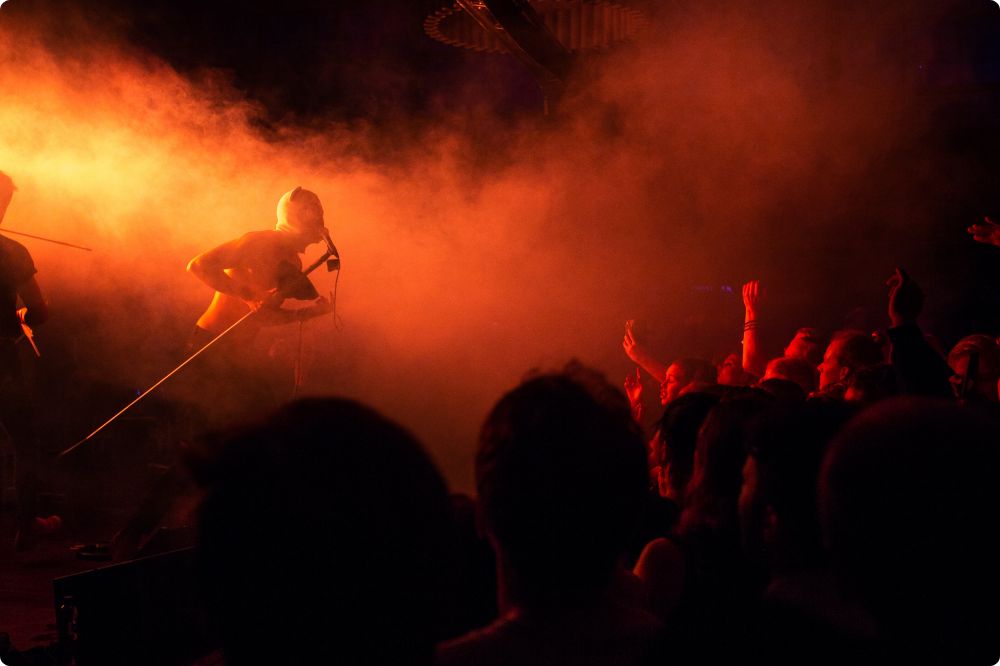 Den Svenska Björnstammen & Panda da Panda