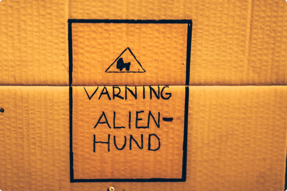 Chalmersmästerskapen i Fest