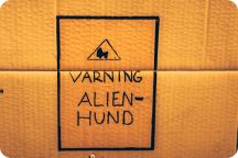 Chalmersmästerskapen i Fest