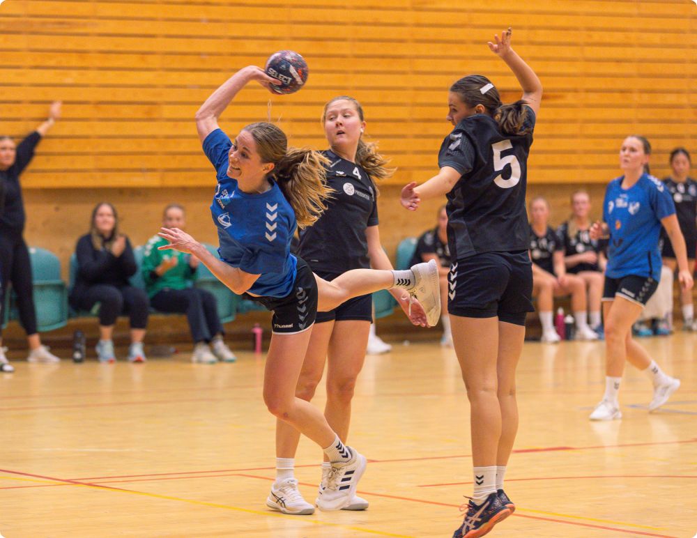 Dubbelmöte Chalmers HK