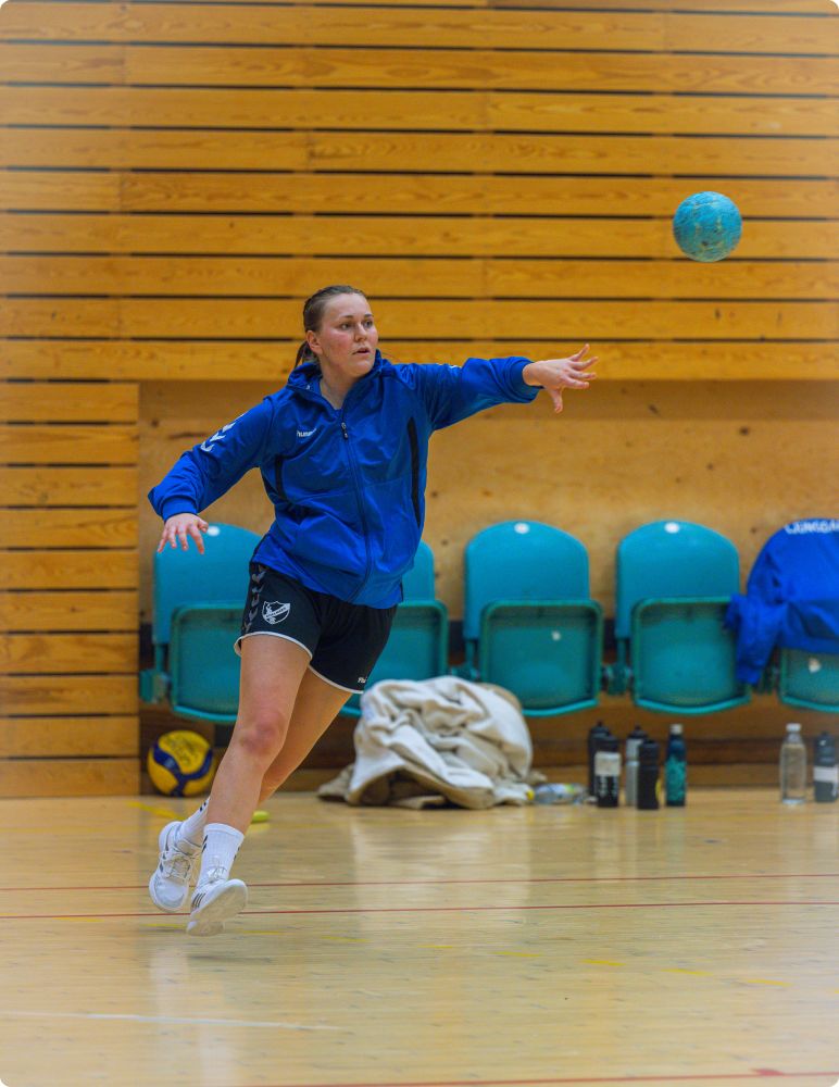 Dubbelmöte Chalmers HK