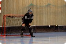 Akademiska Spelen - Innebandy