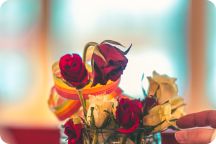 Jämlikhetsveckan 2026