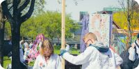 Bild nummer 96165