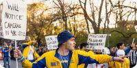 Bild nummer 96277